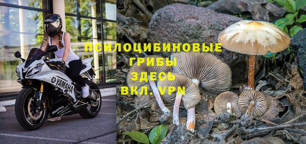 марки nbome Баксан