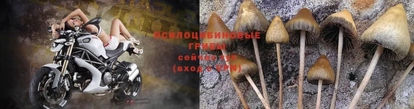 марки nbome Баксан